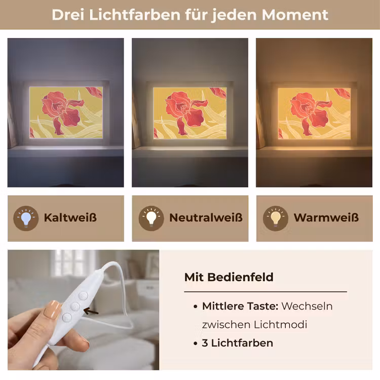 Lightbox - Wandleuchte - Blumen – Illustration – Rot - Bloemen - Illustratie - Rood Light Box met kabel (Wandlamp) klein
