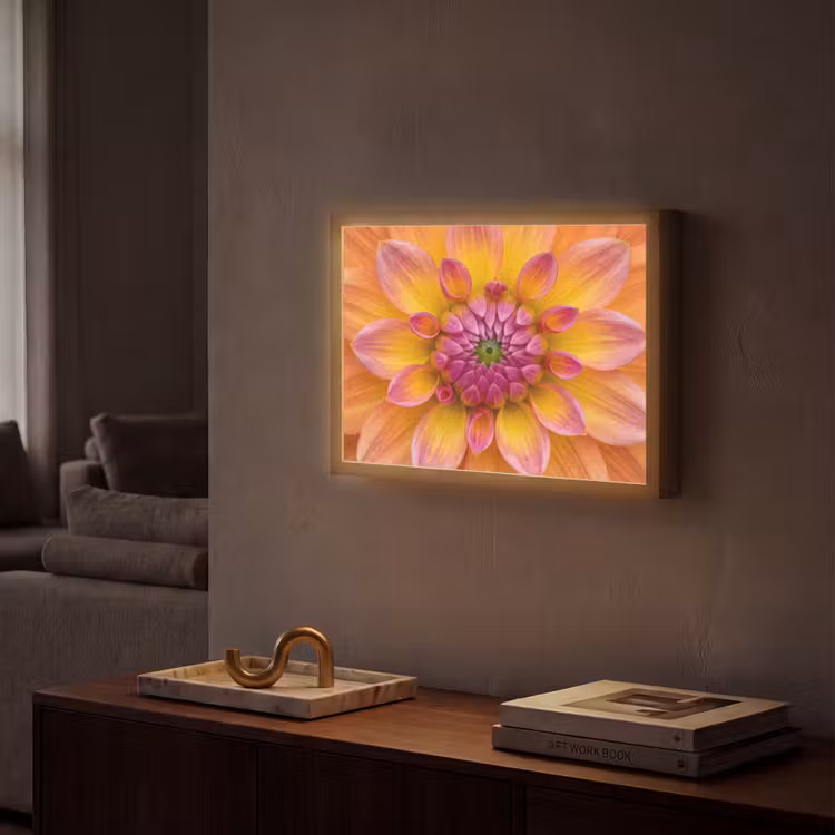 Dahlia - Bloem - Oranje Light Box met batterij (Wandlamp) middel -sfeer1