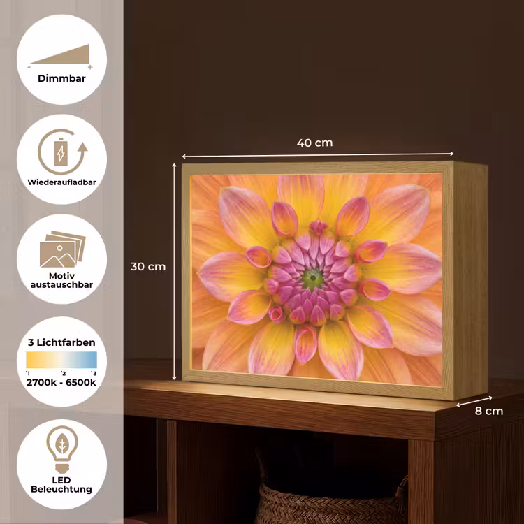Dahlia - Bloem - Oranje Light Box met batterij (Wandlamp) middel -USP_websiteoverzichtDE