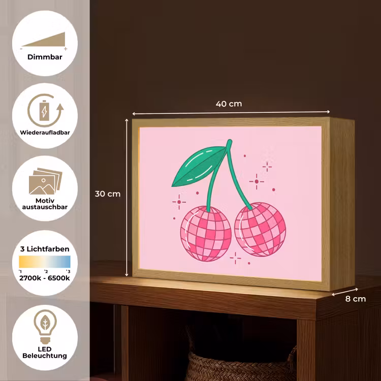 Decoratie - Disco-bal - Feest - Roze Light Box met batterij (Wandlamp) middel -USP_websiteoverzichtDE