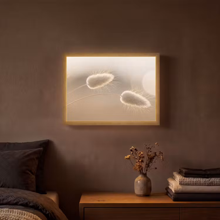 Hazestaartgras - Graanharen - Zonlicht Light Box met batterij (Wandlamp) middel -sfeer4