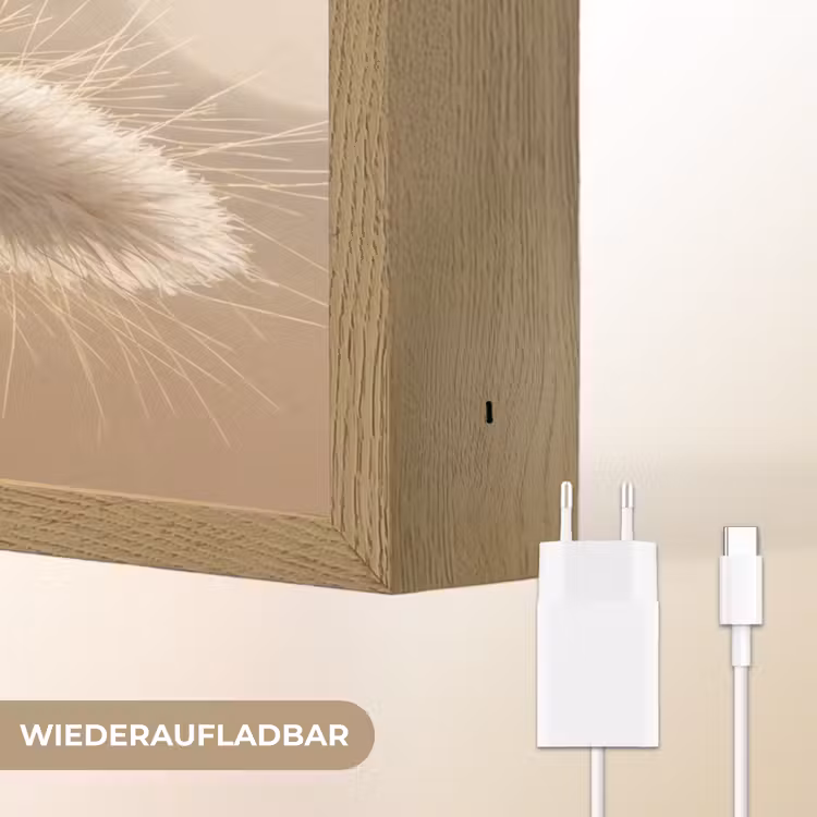 Hazestaartgras - Graanharen - Zonlicht Light Box met batterij (Wandlamp) middel -USP_websiteoplaadbaarDE