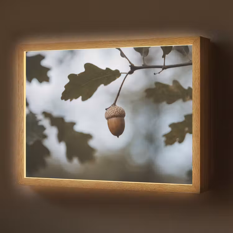 Eikel - Eikenblad - Bos - Herfst - Natuur Light Box met batterij (Wandlamp) middel -z3d_website