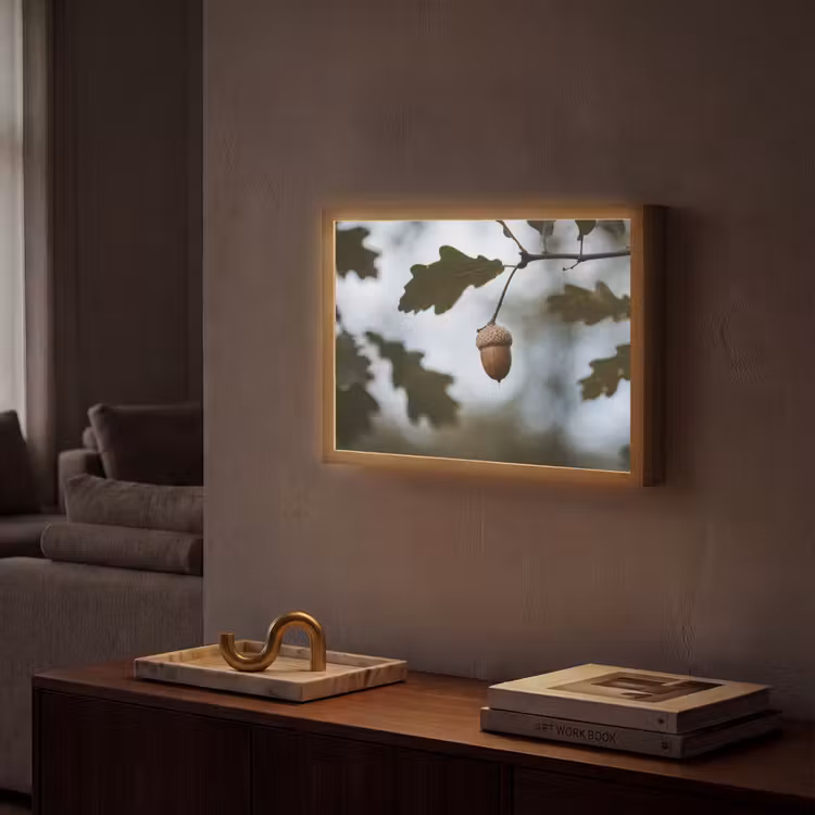 Eikel - Eikenblad - Bos - Herfst - Natuur Light Box met batterij (Wandlamp) middel -sfeer1