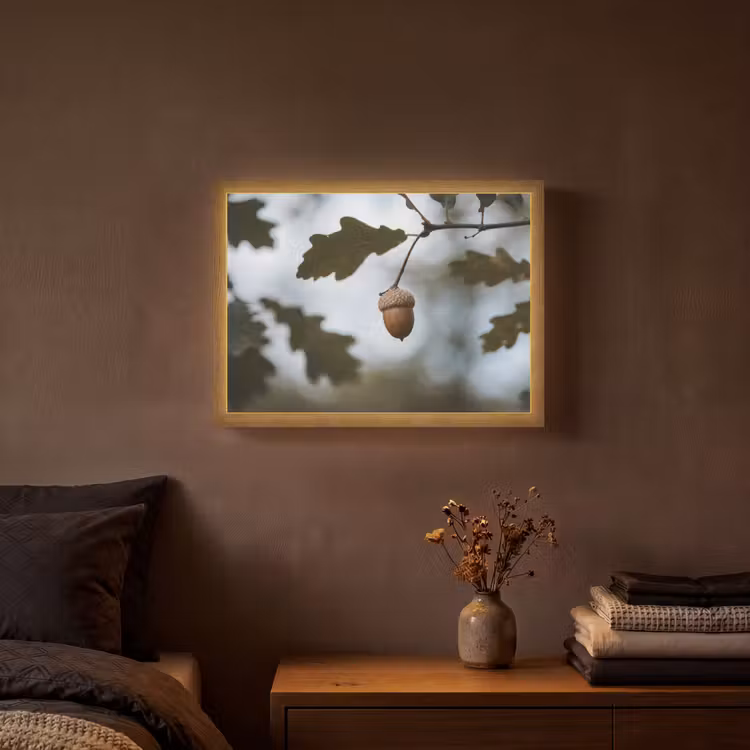 Eikel - Eikenblad - Bos - Herfst - Natuur Light Box met batterij (Wandlamp) middel -sfeer4
