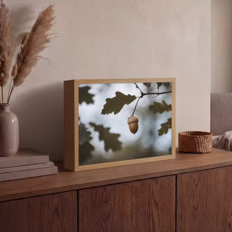 Eikel - Eikenblad - Bos - Herfst - Natuur Light Box met batterij (Wandlamp) middel -sfeer2