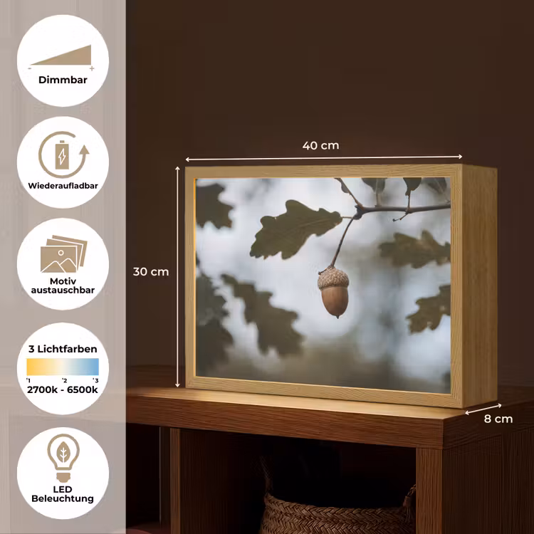 Eikel - Eikenblad - Bos - Herfst - Natuur Light Box met batterij (Wandlamp) middel -USP_websiteoverzichtDE