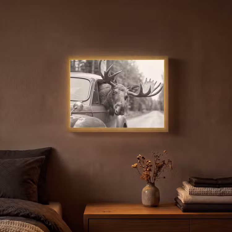 Eland - Auto - Gewei - Zwart - Wit Light Box met batterij (Wandlamp) middel -sfeer4