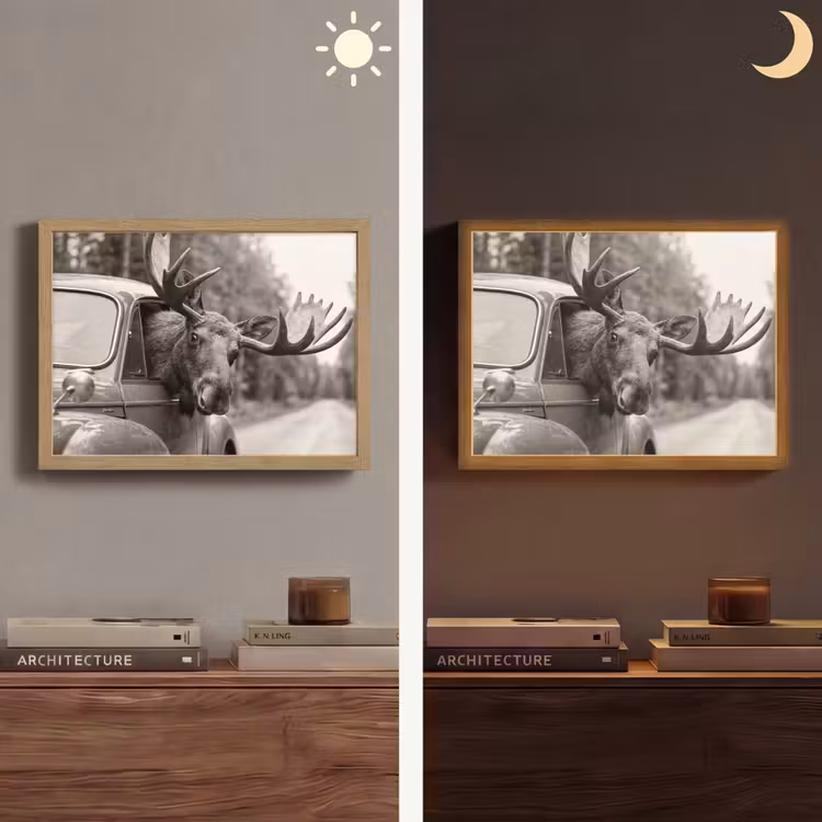 Eland - Auto - Gewei - Zwart - Wit Light Box met batterij (Wandlamp) middel -sfeer3