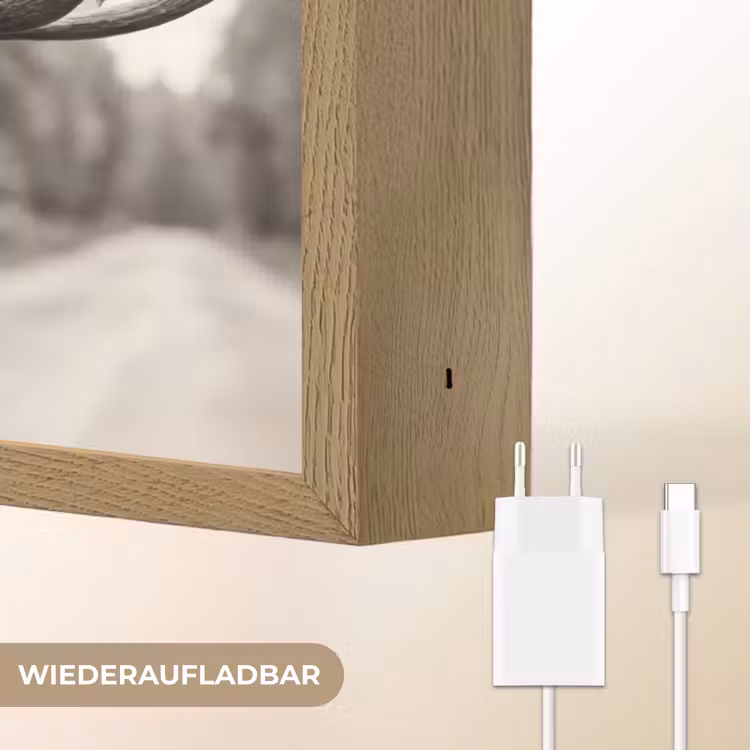Eland - Auto - Gewei - Zwart - Wit Light Box met batterij (Wandlamp) middel -USP_websiteoplaadbaarDE