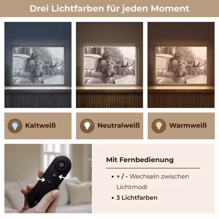 Eland - Auto - Gewei - Zwart - Wit Light Box met batterij (Wandlamp) middel -USP_lichtkleurDE