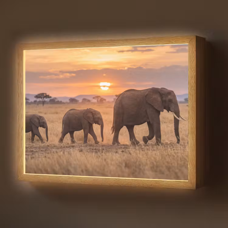 Olifanten - Savanne - Zonsondergang - Afrika - Warm Light Box met batterij (Wandlamp) middel -z3d_website
