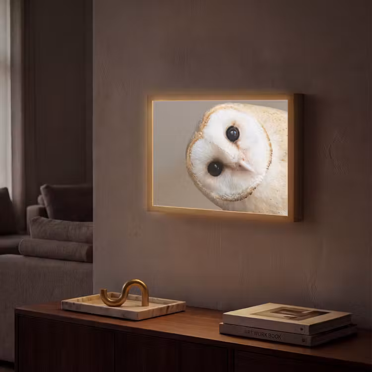 Uil - Bruin - Wit Light Box met batterij (Wandlamp) middel -sfeer1