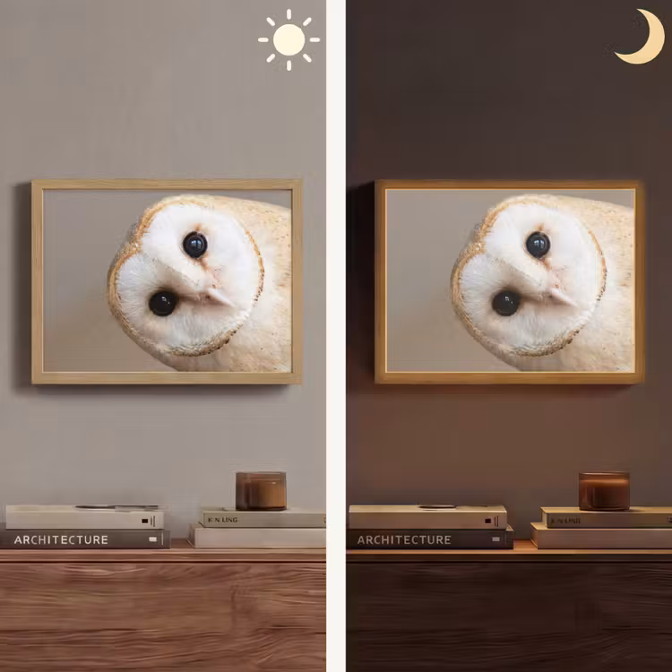 Uil - Bruin - Wit Light Box met batterij (Wandlamp) middel -sfeer3