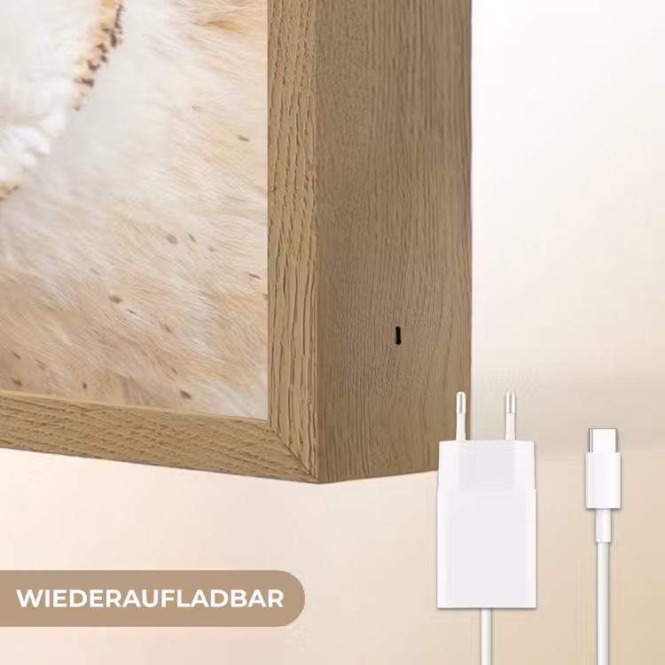 Uil - Bruin - Wit Light Box met batterij (Wandlamp) middel -USP_websiteoplaadbaarDE