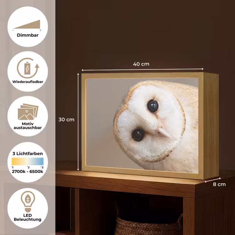 Uil - Bruin - Wit Light Box met batterij (Wandlamp) middel -USP_websiteoverzichtDE