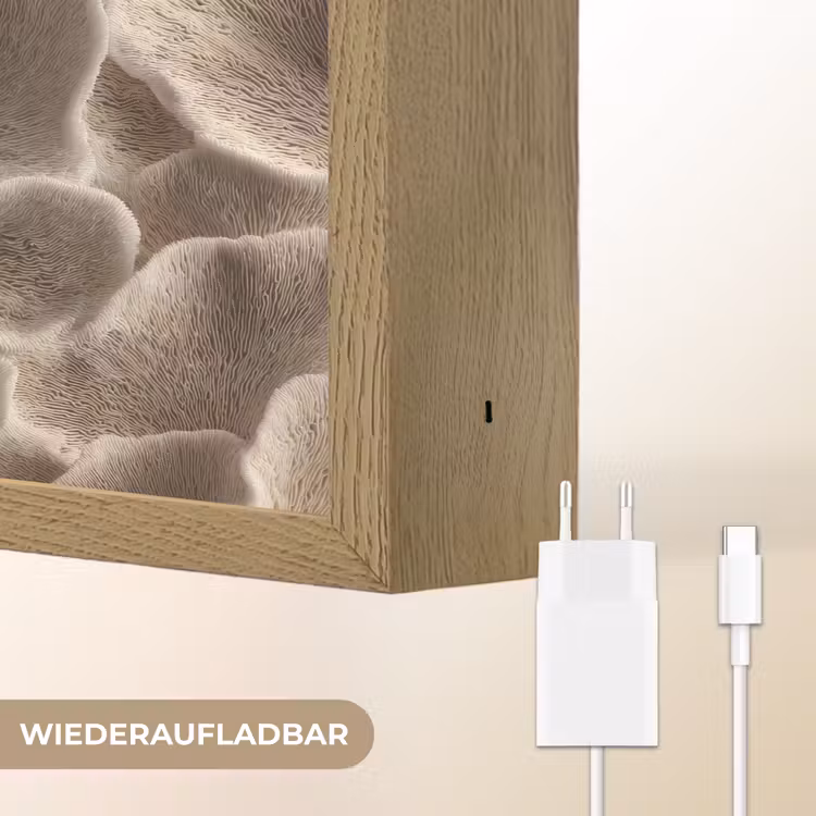 Waaiervorm - Beige - Vezel textuur Light Box met batterij (Wandlamp) middel 907 -USP_websiteoplaadbaarDE