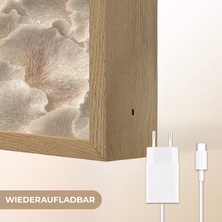 Waaierstructuren - Beige - Vezeltextuur Light Box met batterij (Wandlamp) middel 907 -USP_websiteoplaadbaarDE