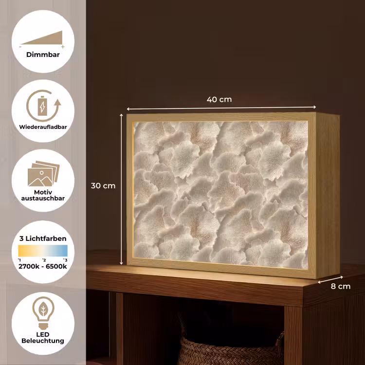 Waaierstructuren - Beige - Vezeltextuur Light Box met batterij (Wandlamp) middel 907 -USP_websiteoverzichtDE