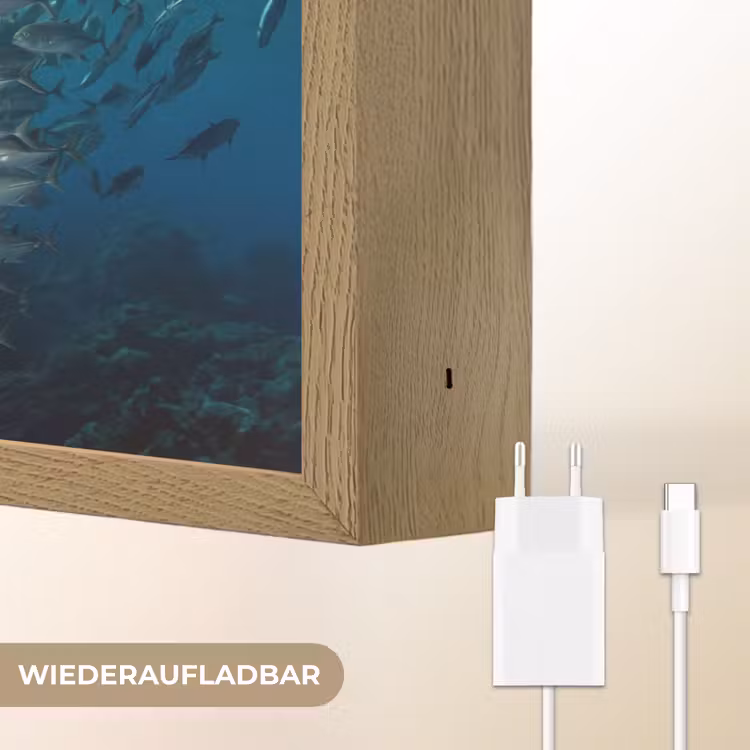 Vis - School - Oceaan - Natuur - Blauw Light Box met batterij (Wandlamp) middel -USP_websiteoplaadbaarDE