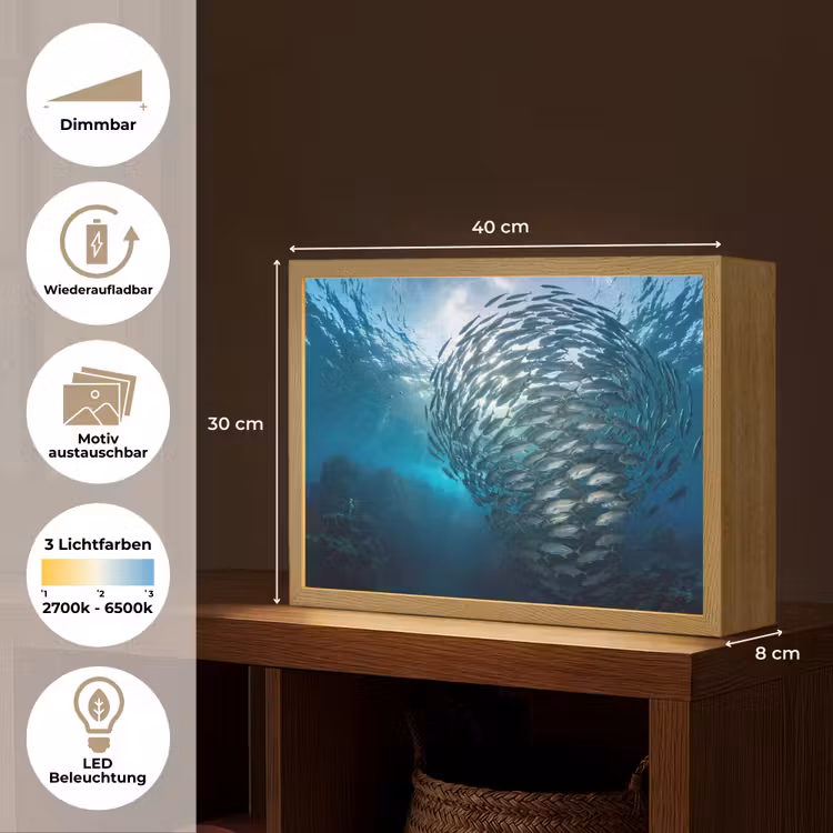 Vis - School - Oceaan - Natuur - Blauw Light Box met batterij (Wandlamp) middel -USP_websiteoverzichtDE