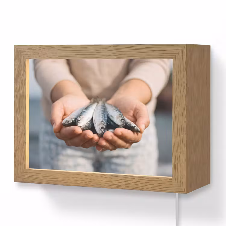 Lightbox - Wandleuchte - Fisch – Hände – Natur - Vis - Handen - Natuur Light Box met kabel (Wandlamp) klein