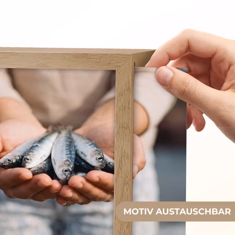 Lightbox - Wandleuchte - Fisch – Hände – Natur - Vis - Handen - Natuur Light Box met kabel (Wandlamp) klein