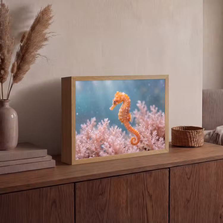Vis - Koraal - Oceaan - Macro - Oranje Light Box met batterij (Wandlamp) middel -sfeer2