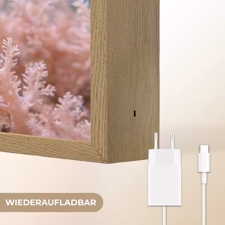 Vis - Koraal - Oceaan - Macro - Oranje Light Box met batterij (Wandlamp) middel -USP_websiteoplaadbaarDE