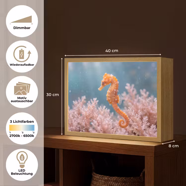 Vis - Koraal - Oceaan - Macro - Oranje Light Box met batterij (Wandlamp) middel -USP_websiteoverzichtDE