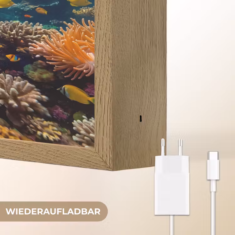 Vis - Koraal - Oceaan - Natuur - Kleurrijk Light Box met batterij (Wandlamp) middel -USP_websiteoplaadbaarDE