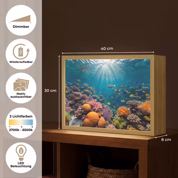 Vis - Koraal - Oceaan - Natuur - Kleurrijk Light Box met batterij (Wandlamp) middel -USP_websiteoverzichtDE
