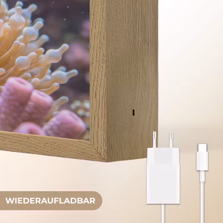 Vis - Koraal - Onderwater - Oranje - Dieren Light Box met batterij (Wandlamp) middel -USP_websiteoplaadbaarDE