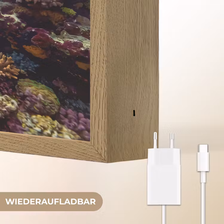 Vis - Koraalrif - Onderwater - Levendig - Blauw Light Box met batterij (Wandlamp) middel -USP_websiteoplaadbaarDE
