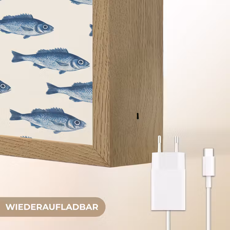 Vis - Patroon - Blauw Light Box met batterij (Wandlamp) middel 907 -USP_websiteoplaadbaarDE
