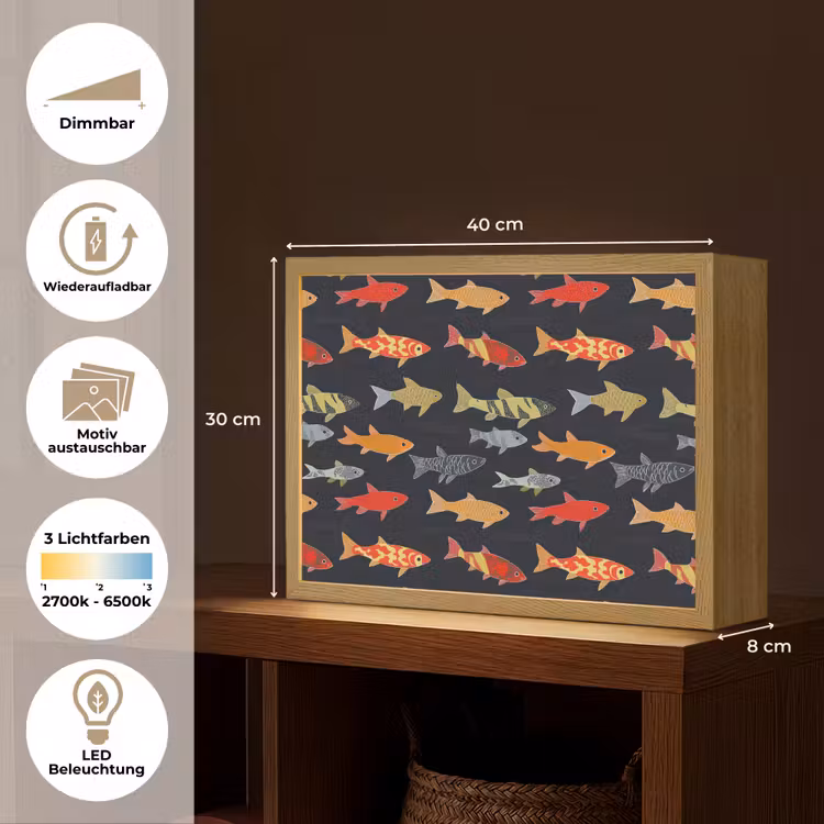 Vissen - Patroon - Kleurrijk Light Box met batterij (Wandlamp) middel 907 -USP_websiteoverzichtDE
