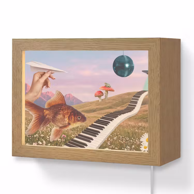 Lightbox - Wandleuchte - Fisch – Natur – Abstrakt - Vis - Natuur - Abstract Light Box met kabel (Wandlamp) klein