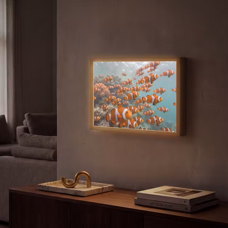 Vis - School - Onderwater - Dieren - Oranje Light Box met batterij (Wandlamp) middel -sfeer1