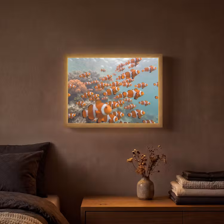 Vis - School - Onderwater - Dieren - Oranje Light Box met batterij (Wandlamp) middel -sfeer4