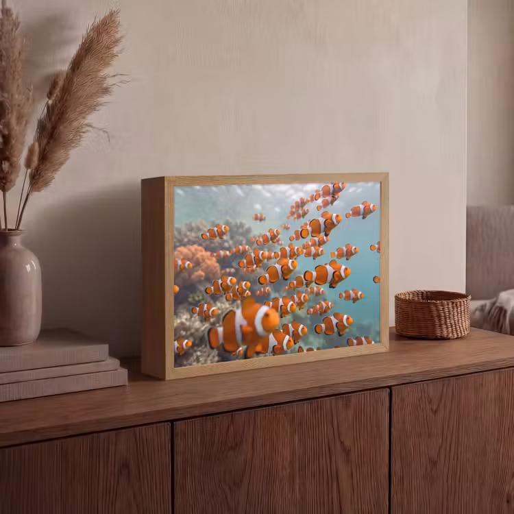 Vis - School - Onderwater - Dieren - Oranje Light Box met batterij (Wandlamp) middel -sfeer2