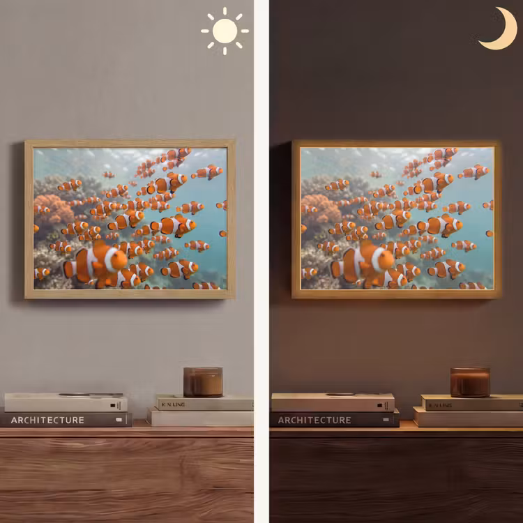 Vis - School - Onderwater - Dieren - Oranje Light Box met batterij (Wandlamp) middel -sfeer3