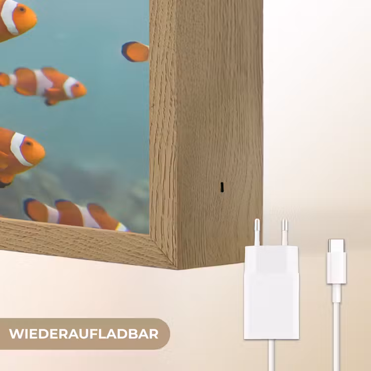 Vis - School - Onderwater - Dieren - Oranje Light Box met batterij (Wandlamp) middel -USP_websiteoplaadbaarDE