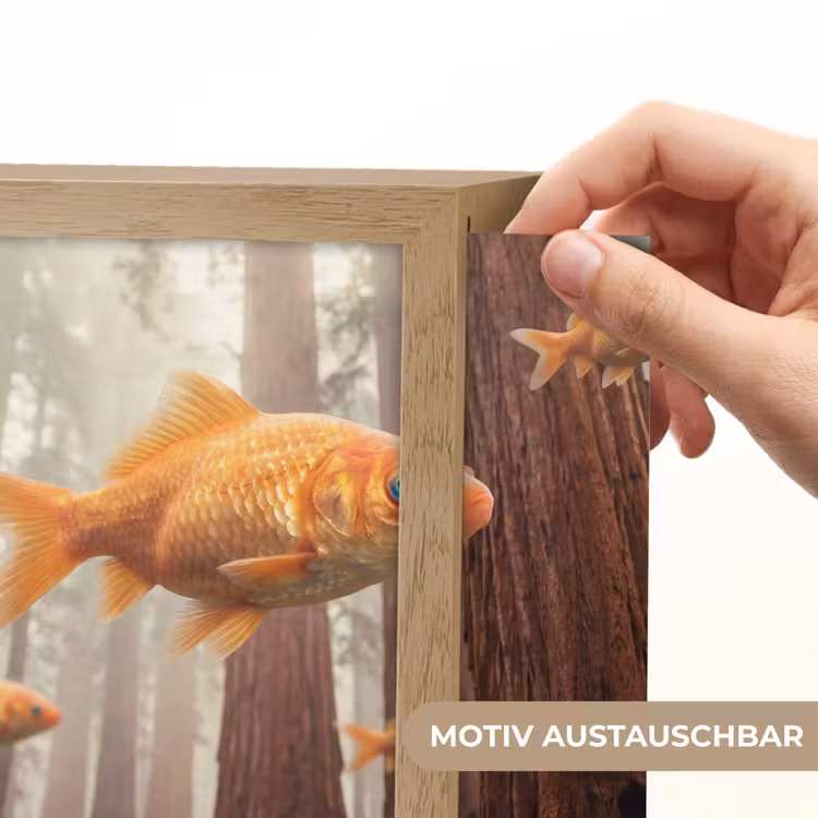 Lightbox - Wandleuchte - Fisch – Wald – Fantasie - Vis - Bos - Fantasie Light Box met kabel (Wandlamp) klein