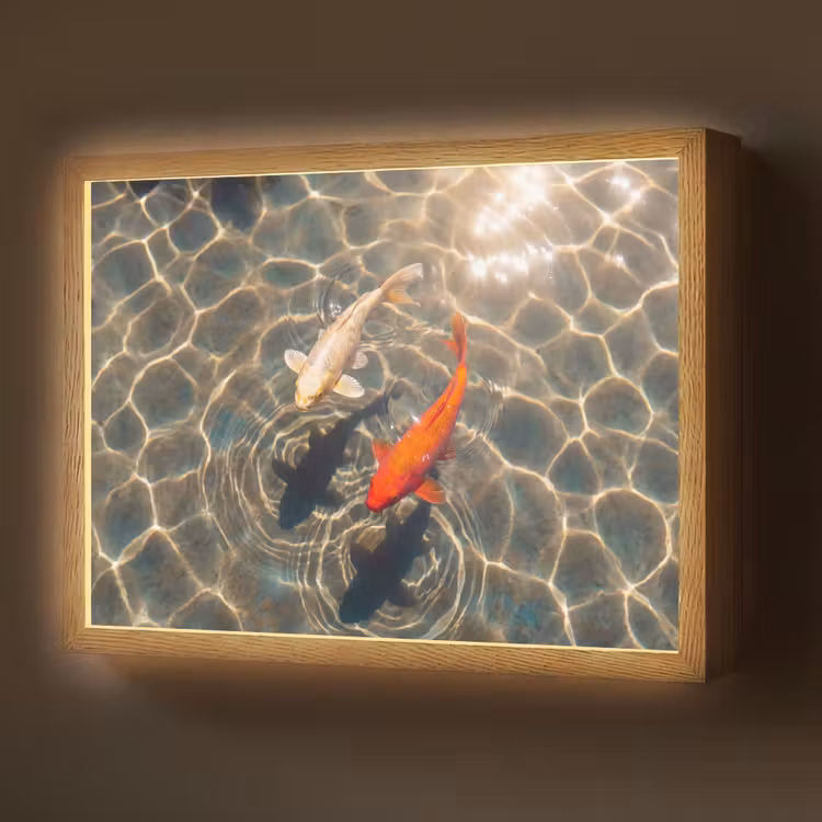 Vis - Water - Dieren - Oranje - Goud Light Box met batterij (Wandlamp) middel -z3d_website