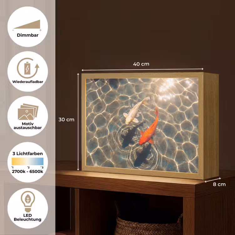 Vis - Water - Dieren - Oranje - Goud Light Box met batterij (Wandlamp) middel -USP_websiteoverzichtDE