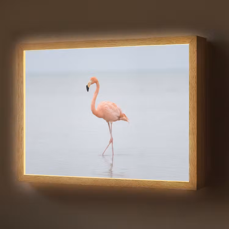 Flamingo - Zee - Roze Light Box met batterij (Wandlamp) middel -z3d_website