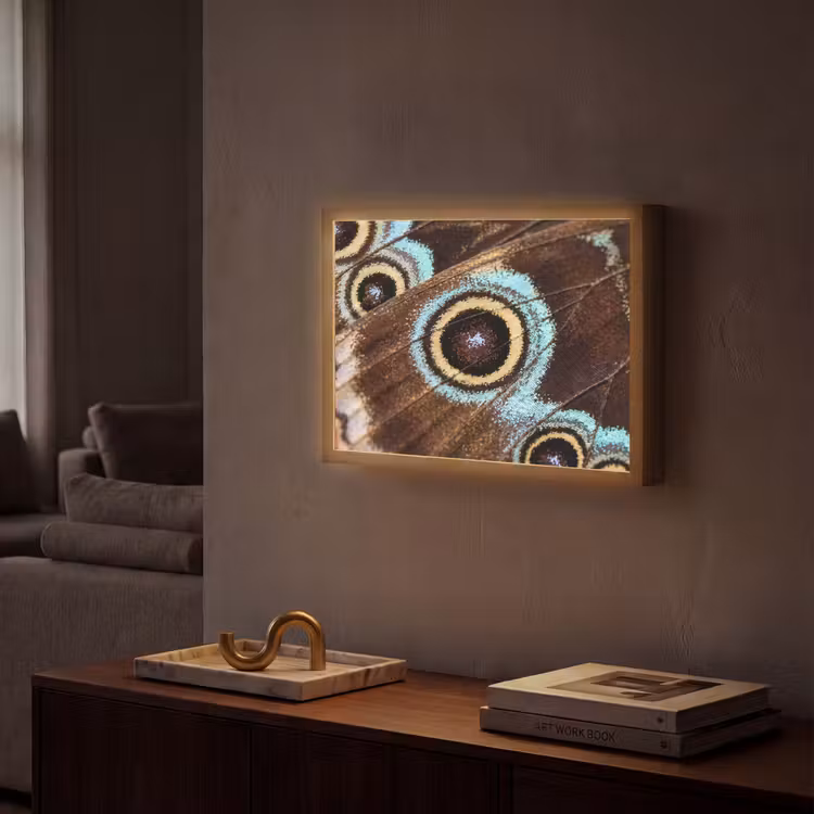 Vleugels - Vlinder - Blauw Light Box met batterij (Wandlamp) middel -sfeer1