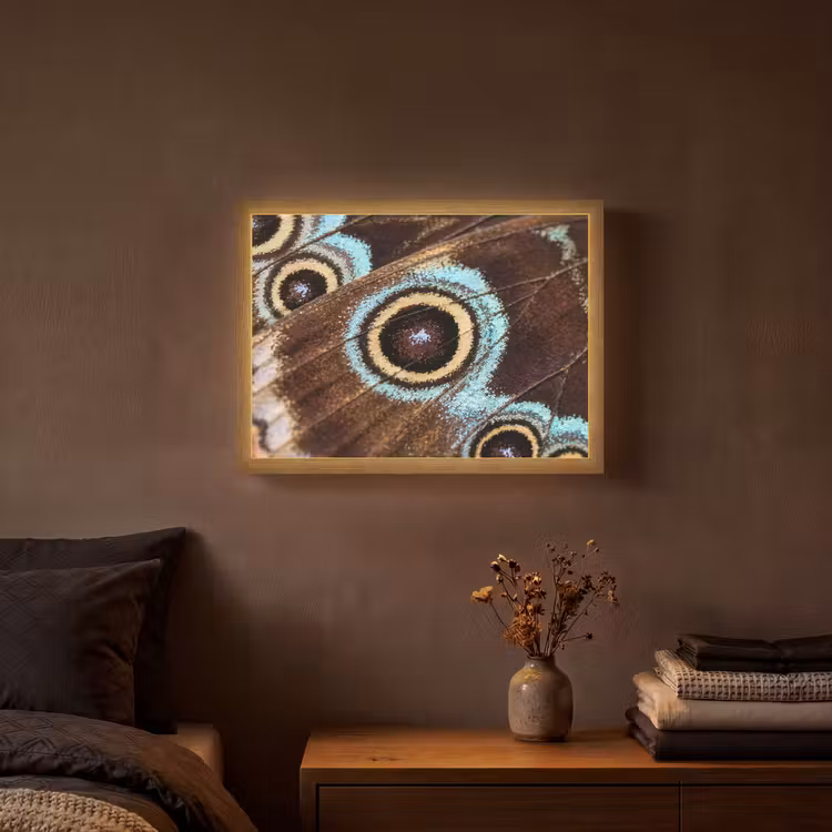 Vleugels - Vlinder - Blauw Light Box met batterij (Wandlamp) middel -sfeer4