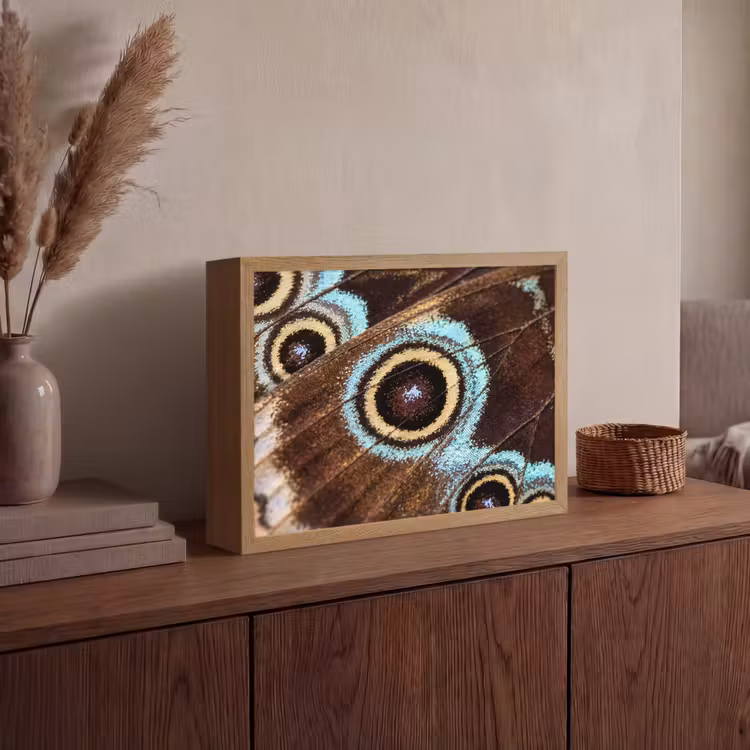 Vleugels - Vlinder - Blauw Light Box met batterij (Wandlamp) middel -sfeer2