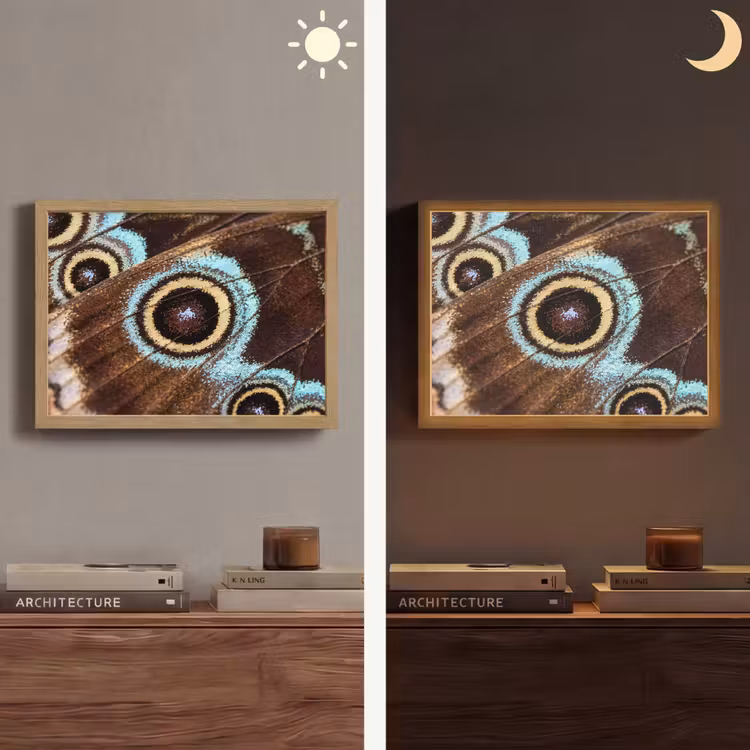 Vleugels - Vlinder - Blauw Light Box met batterij (Wandlamp) middel -sfeer3